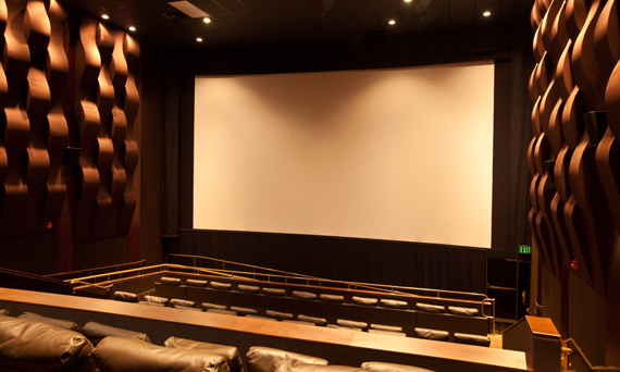 Univideo ANICA research: the same spectators always go to the cinema