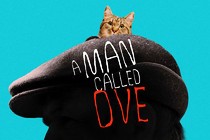 TrustNordisk sells A Man Called Ove on the way to the AFM