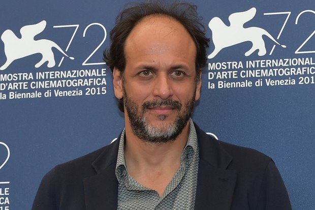 Luca Guadagnino  • Director