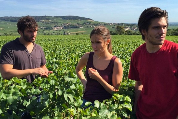 Cédric Klapisch finishes the first grape-harvests for Le vin et le vent